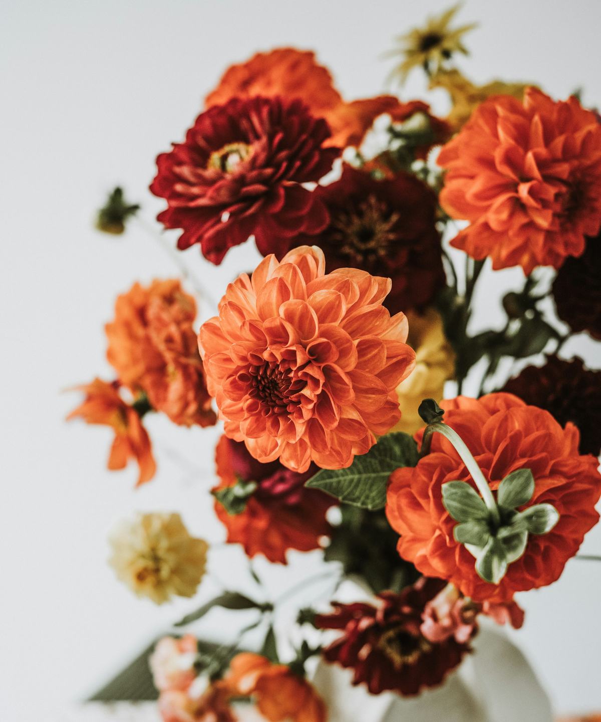 Oranje en dieprode dahlia’s in een witte vaas