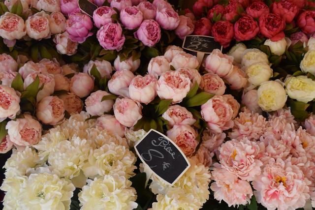 Pioenrozen in roze, rood en crème met een krijtbordje ertussen